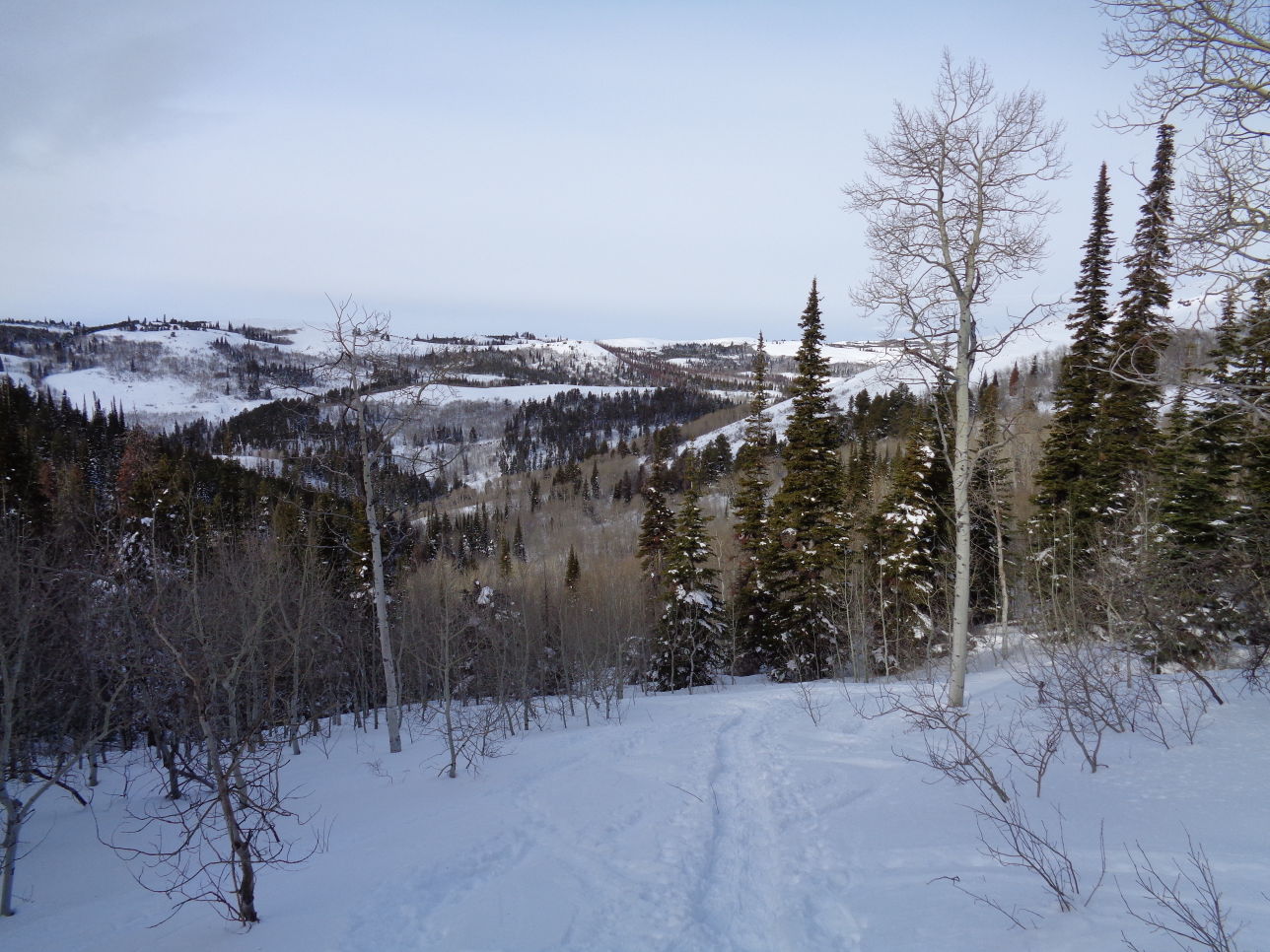 Snow